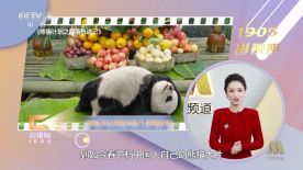 特一级黄